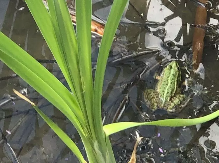 Hotelli Le Bois Des Chambres