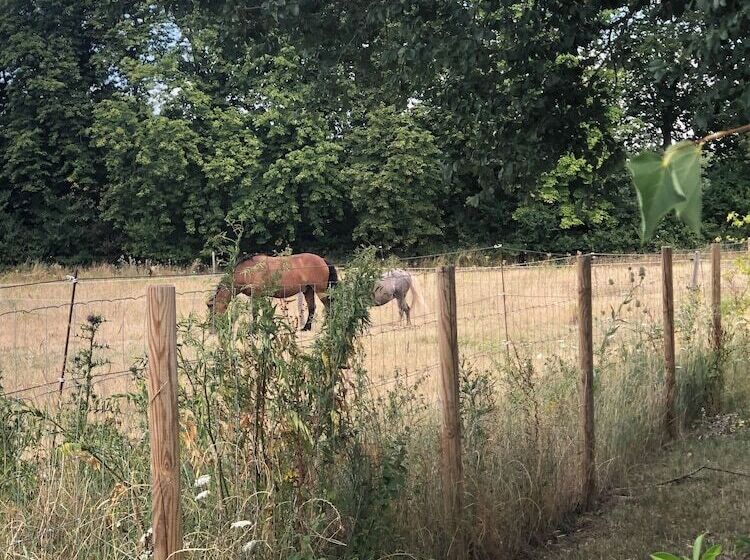 فندق Le Bois Des Chambres