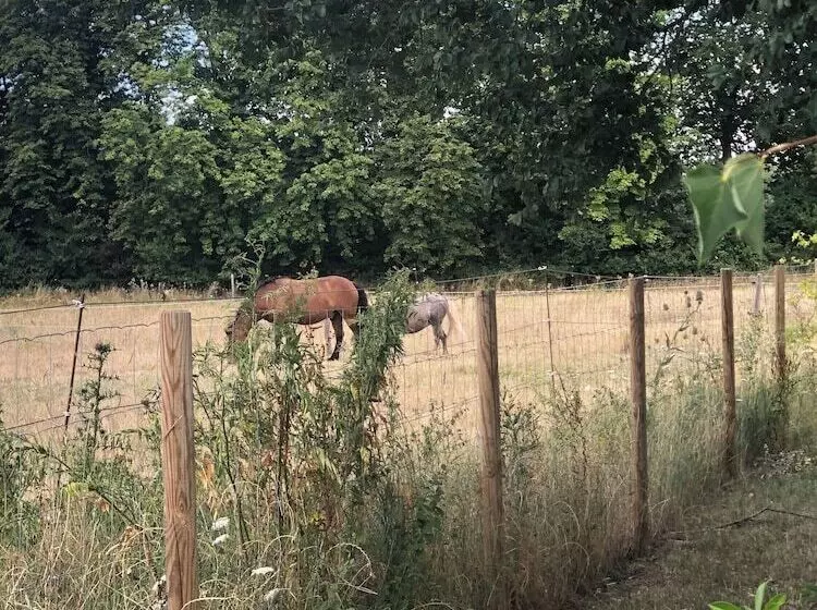 Hotelli Le Bois Des Chambres