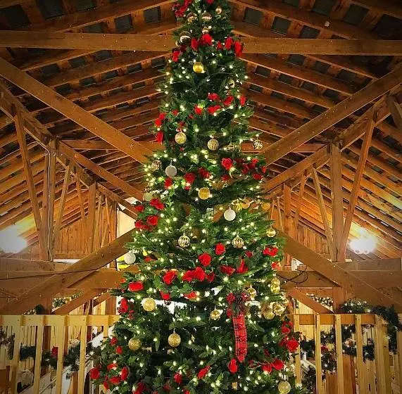 ホテル Nicura Ranch Inn & Stables