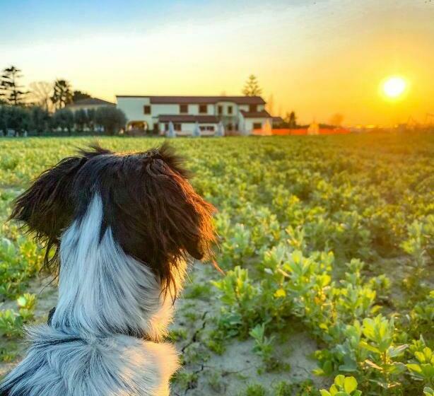 Отель Tenuta Fasanarella