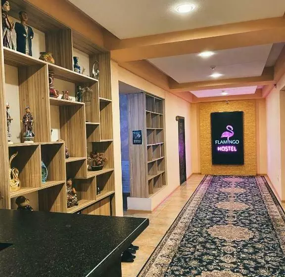 هاستل Flamingo