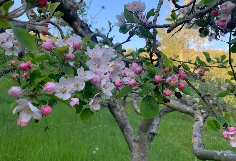 Aamiaismajoitus (B&B) Agriturismo La Collina Degli Scoiattoli