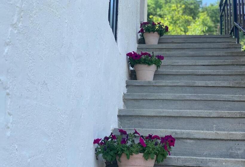 Bed and Breakfast Agriturismo La Collina Degli Scoiattoli