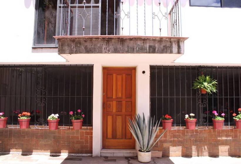 민박 Casa Luna Coyoacan
