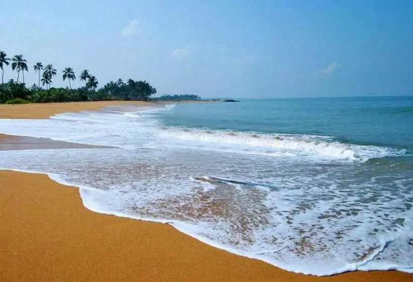 تختخواب و صبحانه Memorella   Negombo