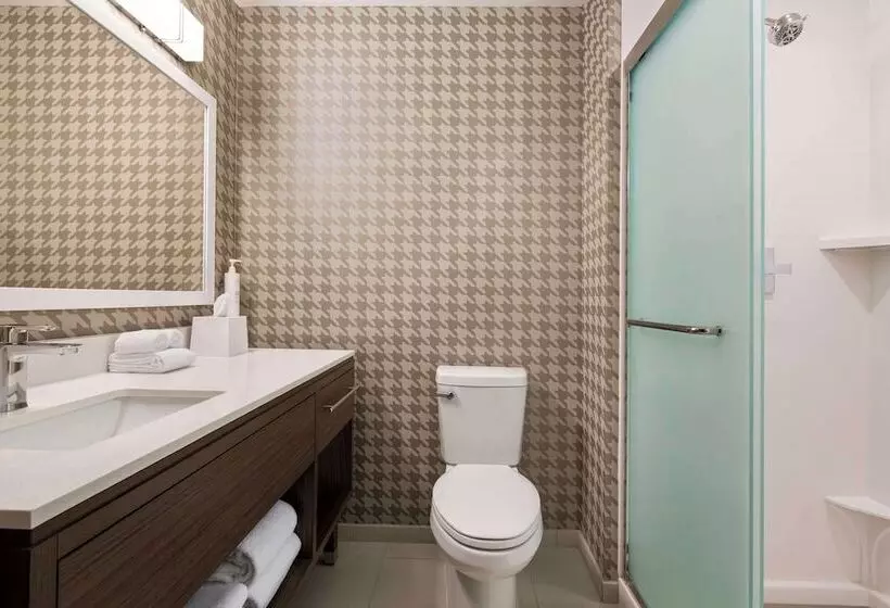 هتل Home2 Suites By Hilton Nashville West End Avenue