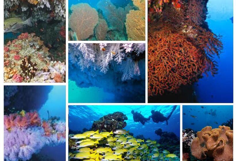 هتل Pearl Himandhoo