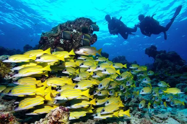 هتل Pearl Himandhoo