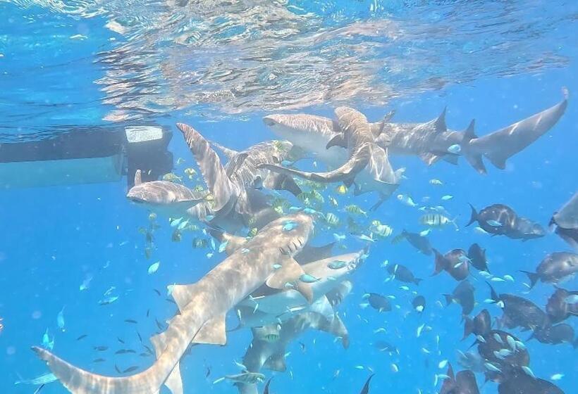 هتل Pearl Himandhoo