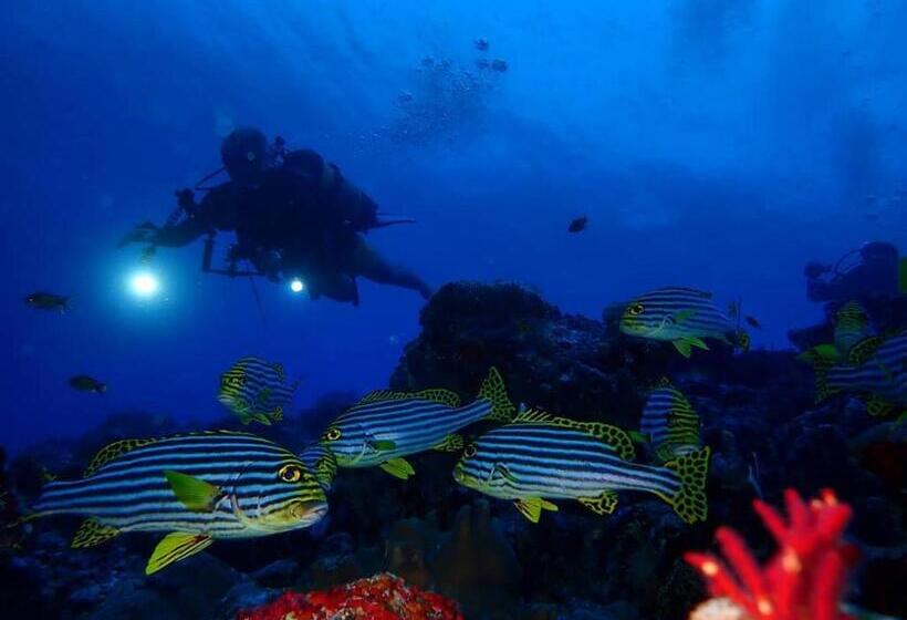 هتل Pearl Himandhoo