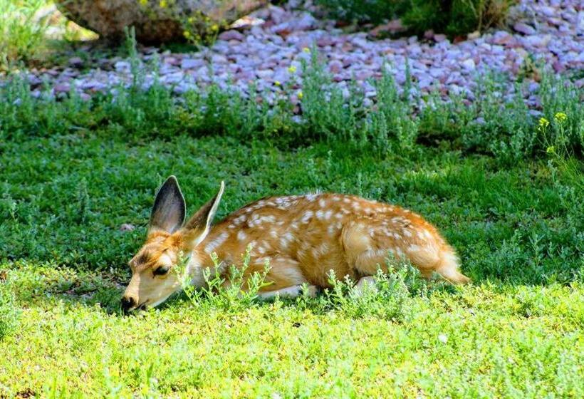 Spacious Family Retreat Near Usafa Main Attractions Hottub Gaming Slps 14 Wifi