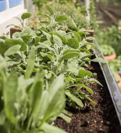 B&b Miellò Nelle Langhe