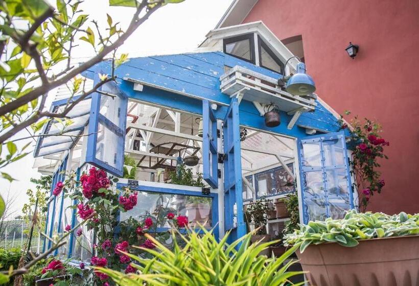 B&b Miellò Nelle Langhe