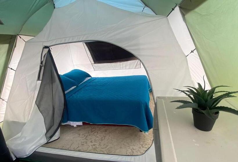 호텔 Dharma Casa Holistica, Hostal, Yoga Y Retiros