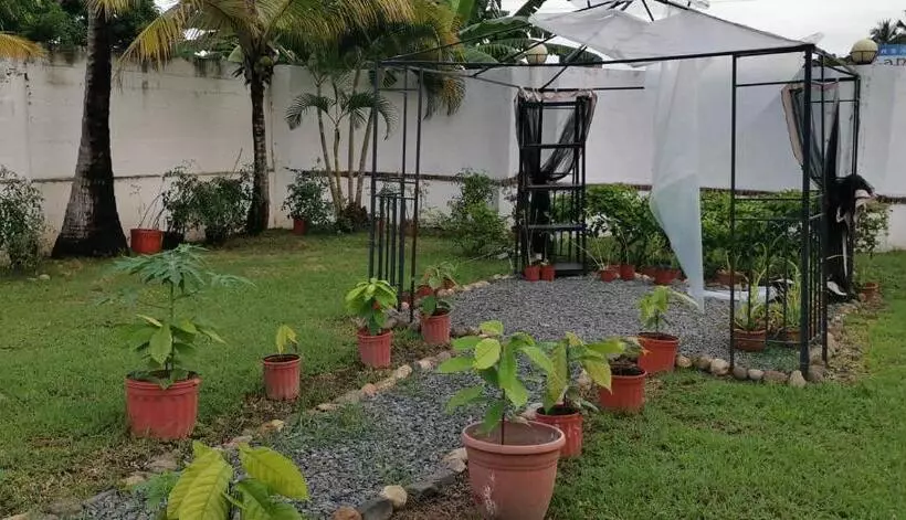 ホテル Dharma Casa Holistica, Hostal, Yoga Y Retiros