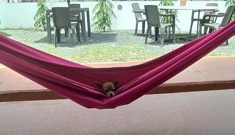 호텔 Dharma Casa Holistica, Hostal, Yoga Y Retiros