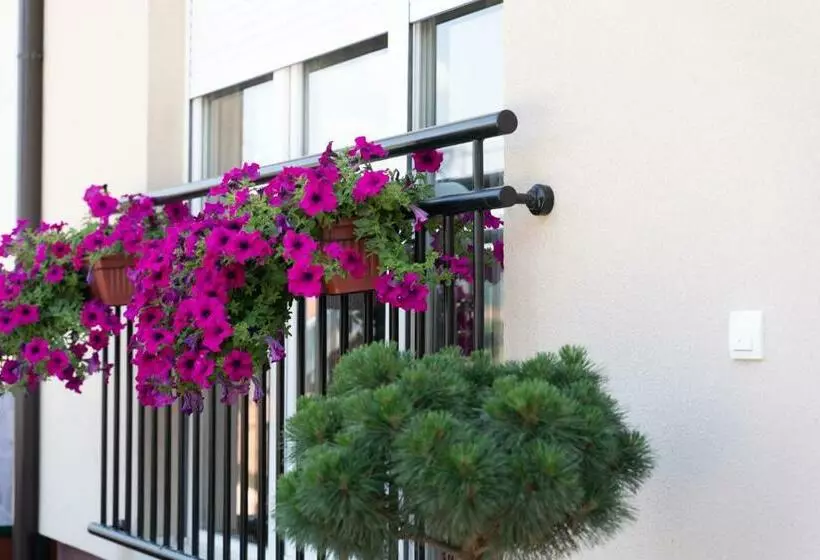 Jedro   Apartman Sa Garažnim Parkingom