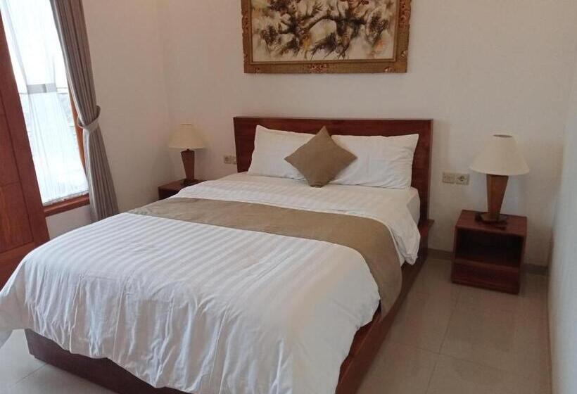 بنسيون D Transit