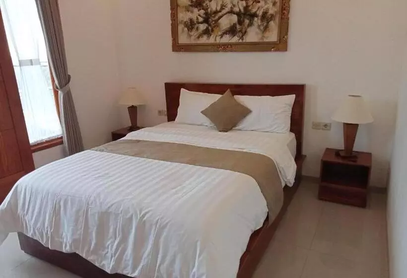 ペンション D Transit