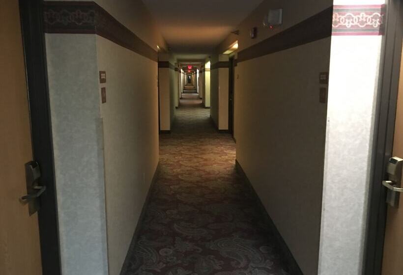 酒店 Amerihost Inn & Suites  Mexico