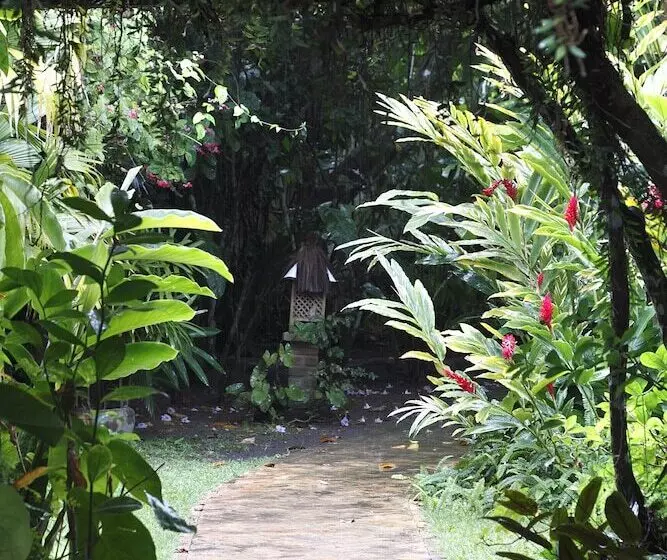 酒店 Pousada Capim Santo