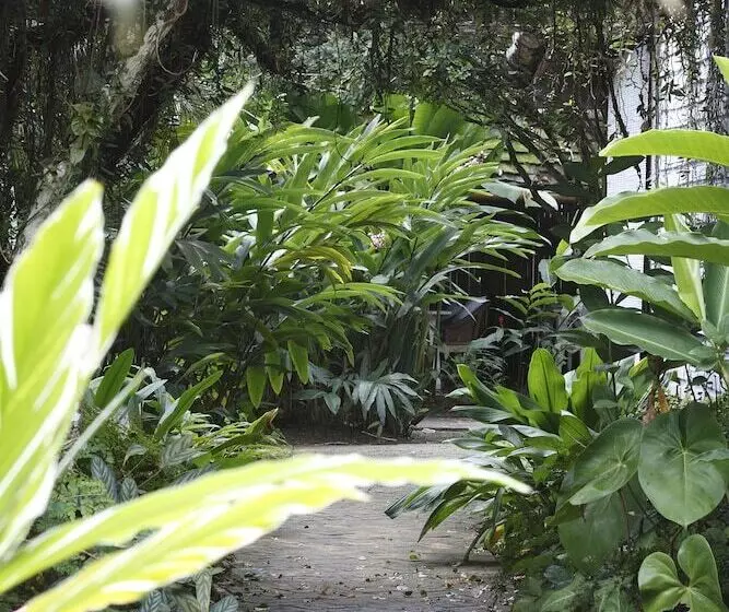 酒店 Pousada Capim Santo