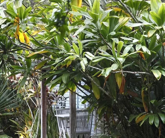 酒店 Pousada Capim Santo