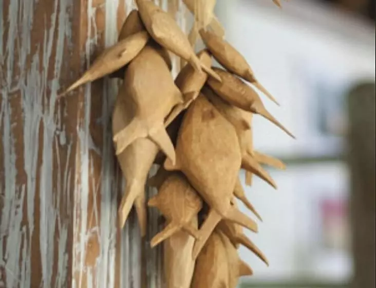 酒店 Pousada Capim Santo