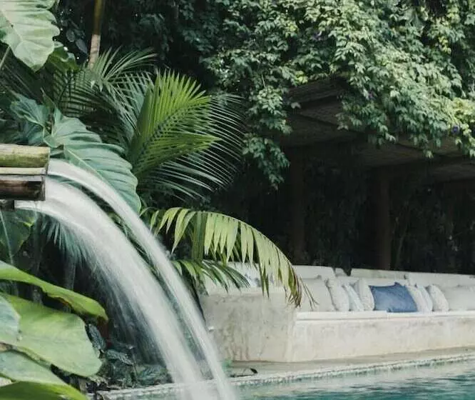 酒店 Pousada Capim Santo