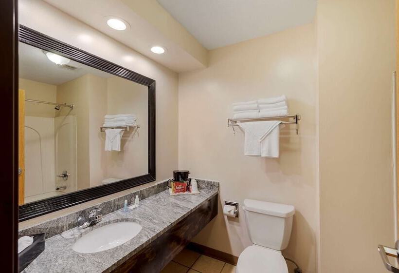 Отель Quality Inn