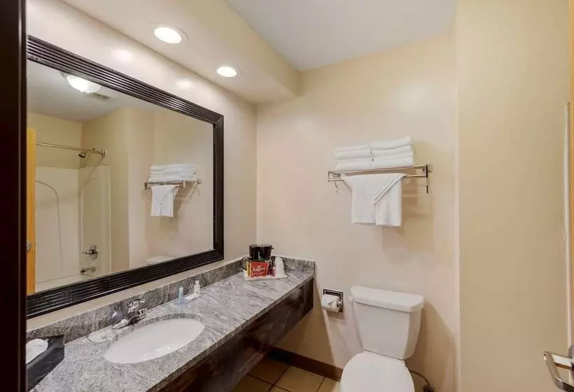 בית מלון כפרי Quality Inn