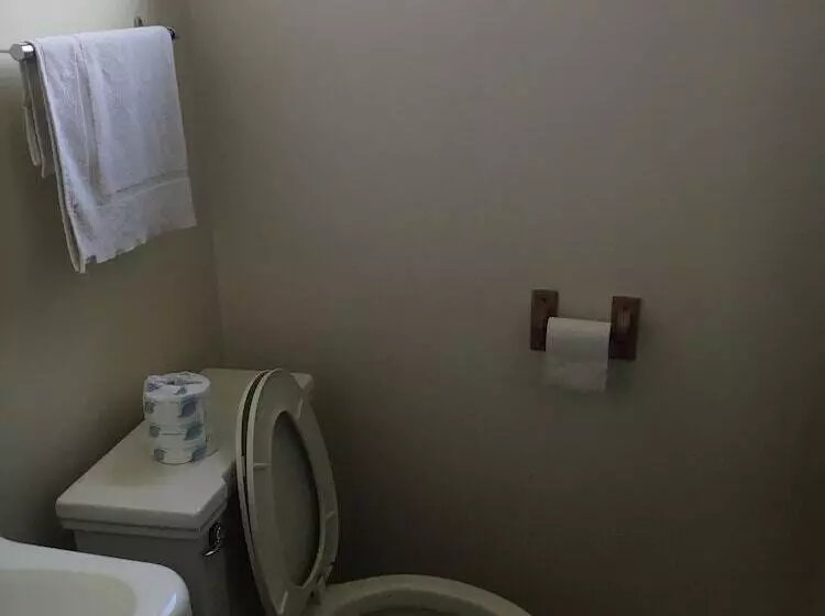 Travel Inn Motel Michigan City