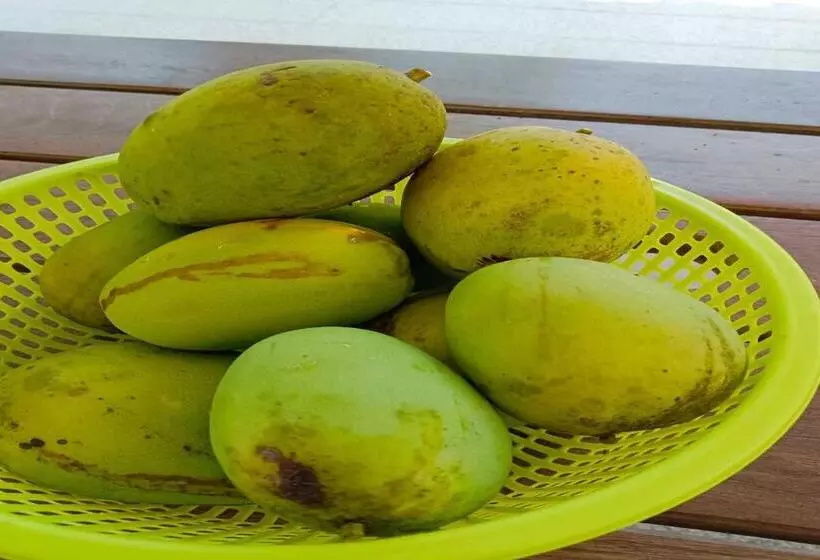 ホテル Oyo Homes 90608 Kampung Sungai R&r,homestay And Ecofarm