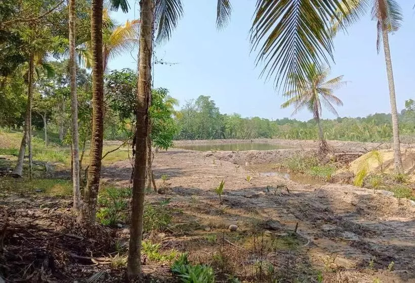 ホテル Oyo Homes 90608 Kampung Sungai R&r,homestay And Ecofarm