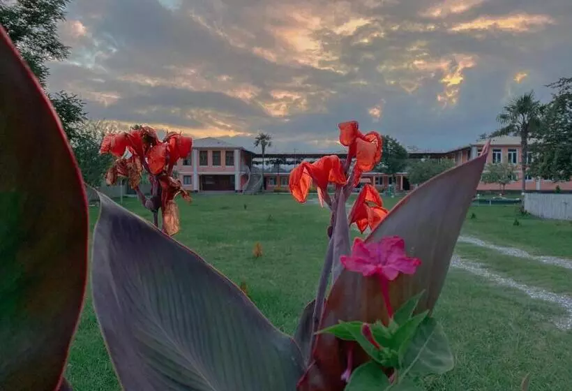 پانسیون Matua Guest House