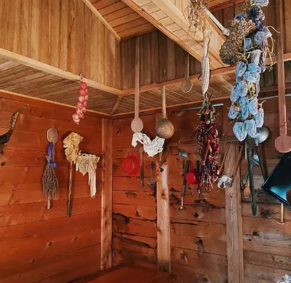 پانسیون Matua Guest House