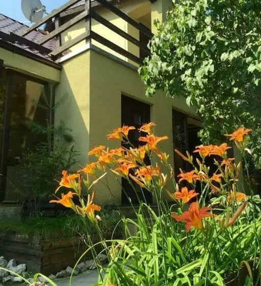 Pet Friendly Charming House With Garden