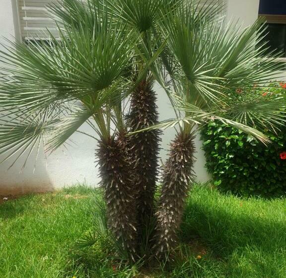 Résidence Sun Set Beach à 200 M De Mer