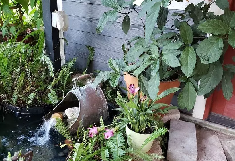 Cedar Oaks Inn The Birdcage Saloon