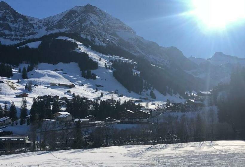 2 Zimmer Studio Mit Grossem Balkon Und Bergpanorama   400m Von Talstation Sillerenbahn