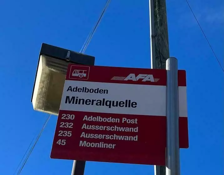 2 Zimmer Studio Mit Grossem Balkon Und Bergpanorama   400m Von Talstation Sillerenbahn