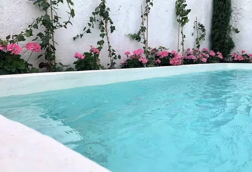 ベッドアンドブレックファースト Patios Del Agua