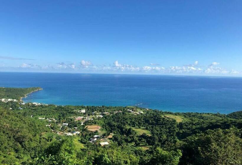 Mi Casita In The Mountains