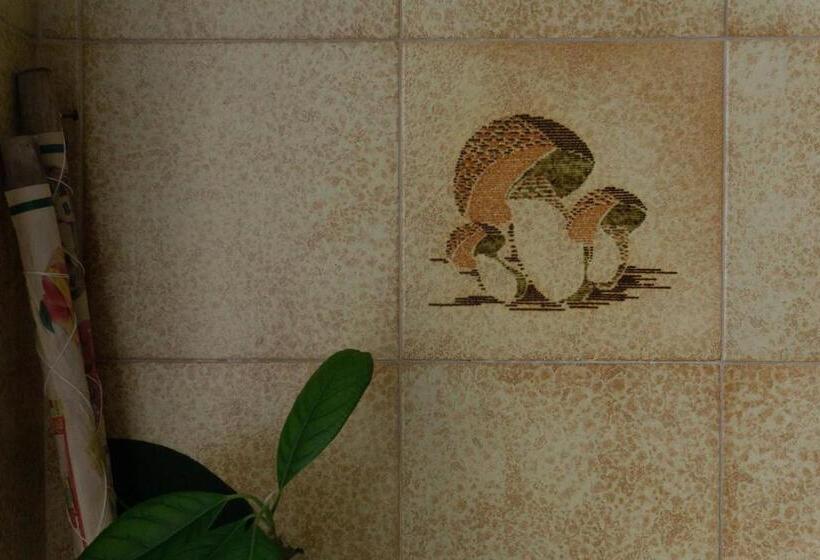 פנסיון A Rasal