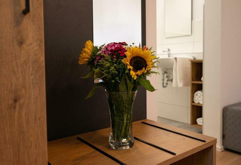 بنسيون Heindlhof