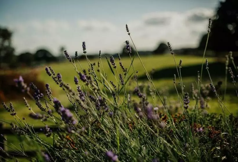 Vicarage Farm Cottages