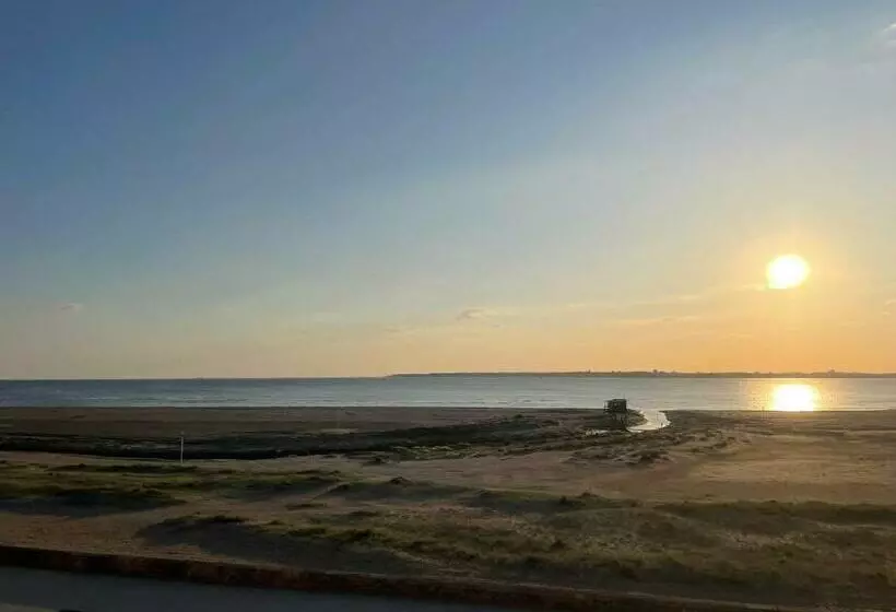 Appartement Vue Mer