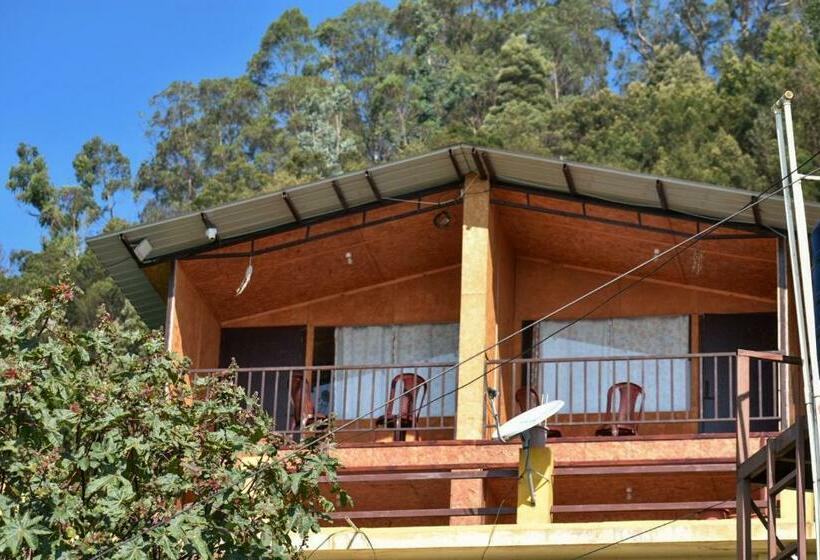 住宿加早餐 Tycoon Wood Cabins