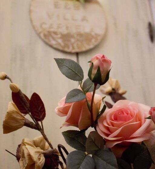 Bed and Breakfast Villa Carmela
